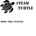 #TeamTurtle!