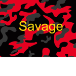 Lil SavageGang