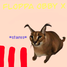 Floppa Obby X