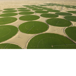 Al Khitah Farms Application Center