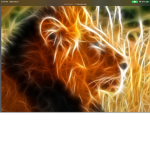 Beast gaming group