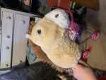 Hobby horse talkers