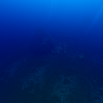 under the ocean