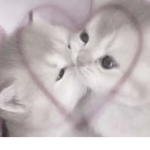 Angelina_7562