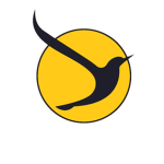 Air Osaka