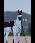 Roblox horse jumping