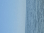 Ocean blue life