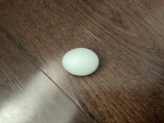 The true egg crew