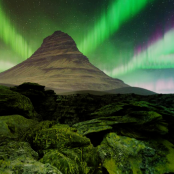 Toxic Northern Lights Admin Game!
