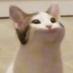 Pop Cat Game Official Group