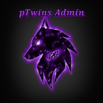 pTwins Admin