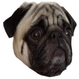 pugs