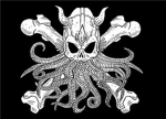 The Shadow Pirates