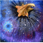 Stardust Pumpkin Patch