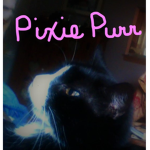 PixiePurr's Amazing Friends