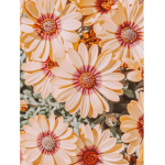 .flowersie