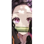 Nezuko_friends