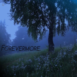 ForeverMore Paper RP [W.I.P]