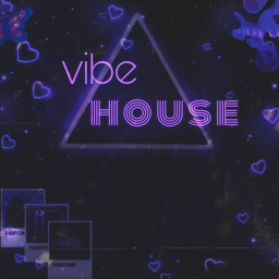 vibe house