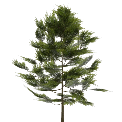 Realistic Tree (Mesh)