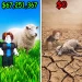 Greedy Animal Farm icon