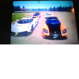 forest race