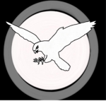 White Falcon Agency