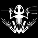 USNS (United States Navy Seals)