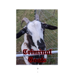 Criminal Goats [CG]