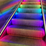 🌈 Slide Down A Rainbow Slide Obby! 🌈