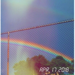 - lovely rainbows -