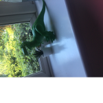 The Dinosaur friends society