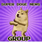 Super Doge News