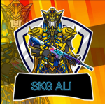 Skg group