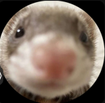 Ranking your avatar my opinion