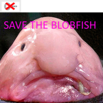Blob Boys And Girls