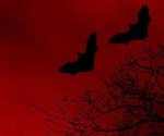 Vampire clan :]