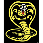 Cobra Kai Kids