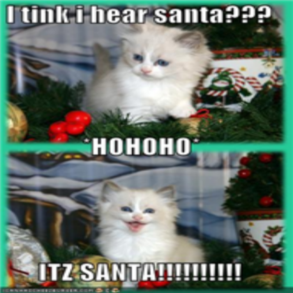 funny kitten Roblox decal