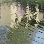  ˚ ‧ 明るい魂‧ .୭