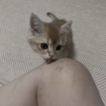 mwyu