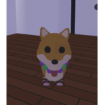 Good shiba ####