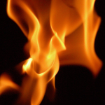 Official Flame Fan Club Group Thumbnail