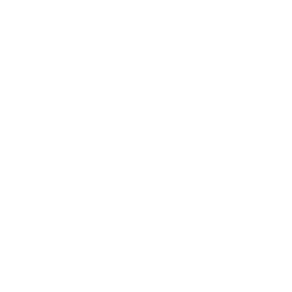 moon icon