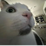 Subscribe to ronaldo79 on yt