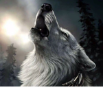wolf mina