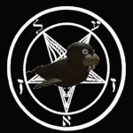 WALRUSAMITY