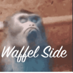 Waffel Side WS