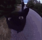 d̷a̷r̷k̷s̷e̷e̷d̷