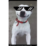 Erkek mafialar